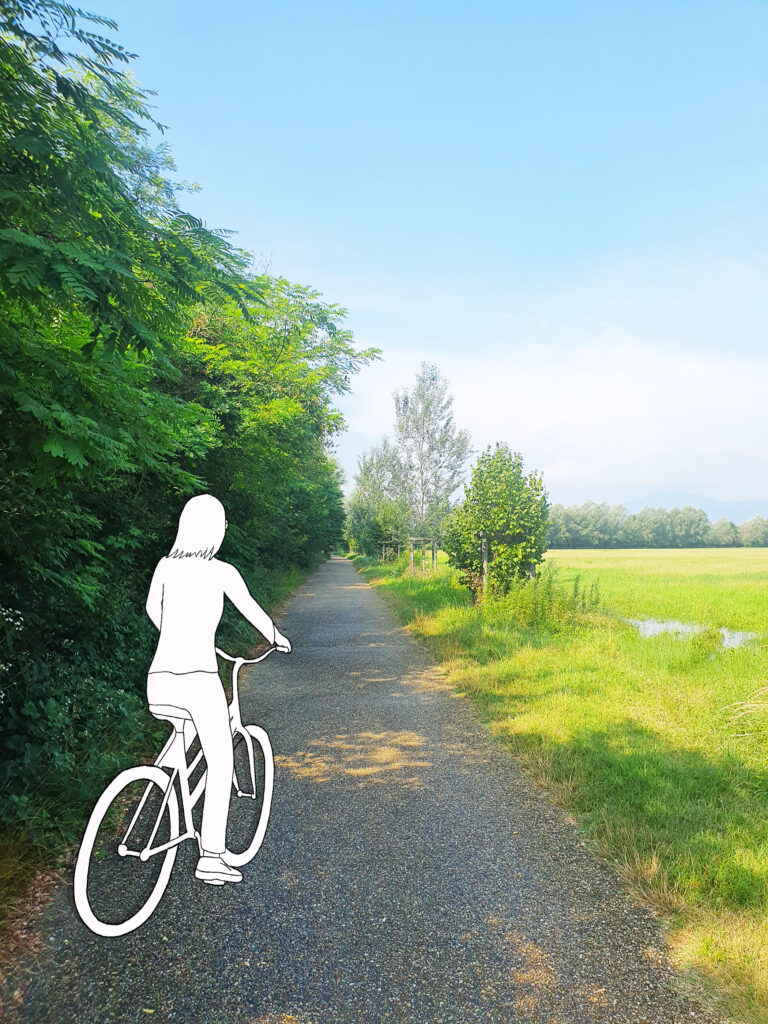 BICICLETTA-PARCO DELLA MANDRIA-VENARIA REALE - TORINO