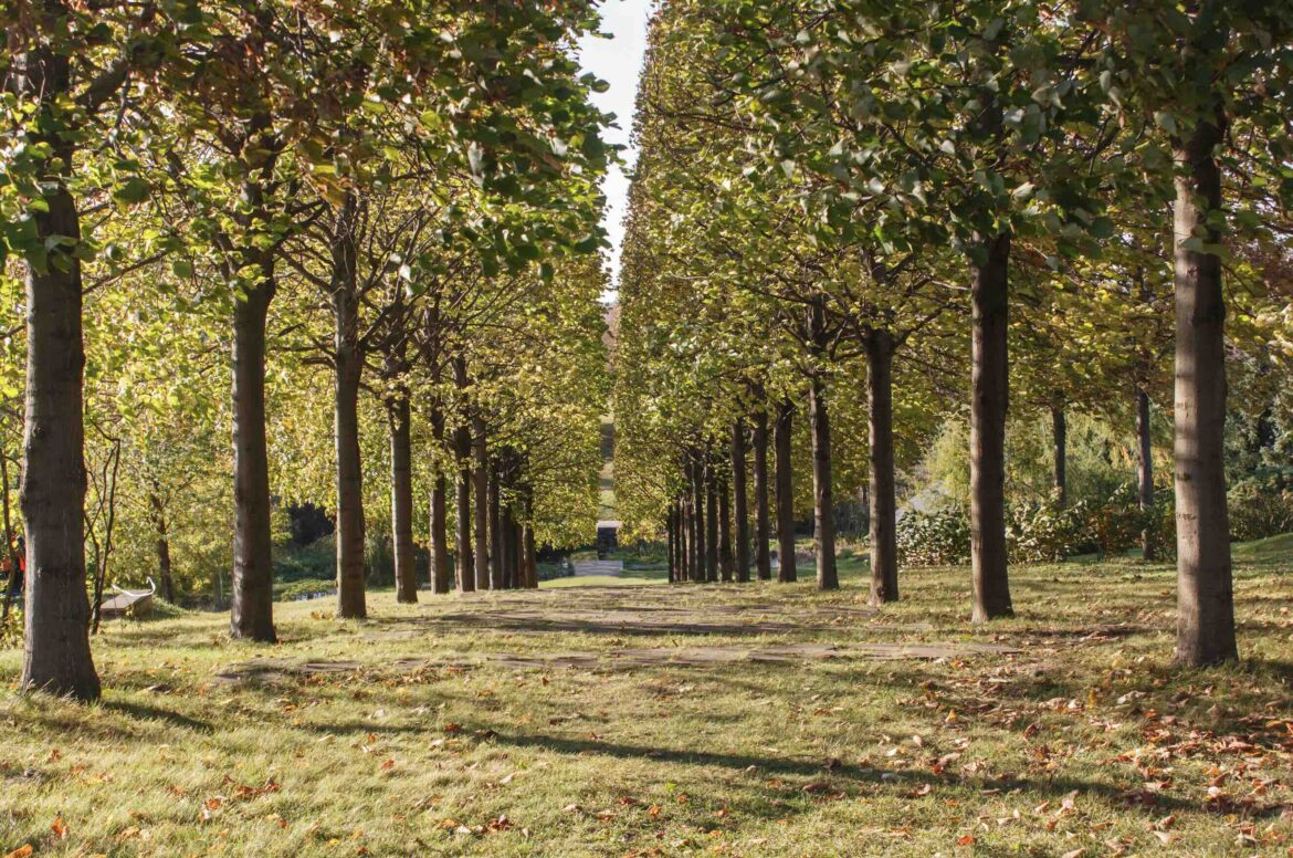 cosa vedere al Parco del Valentino