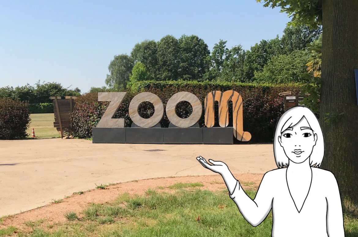 Zoom Torino di Cumiana