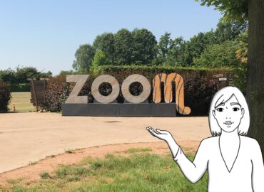 Zoom Torino: il bioparco di Cumiana per incontrare da vicino gli animali del mondo